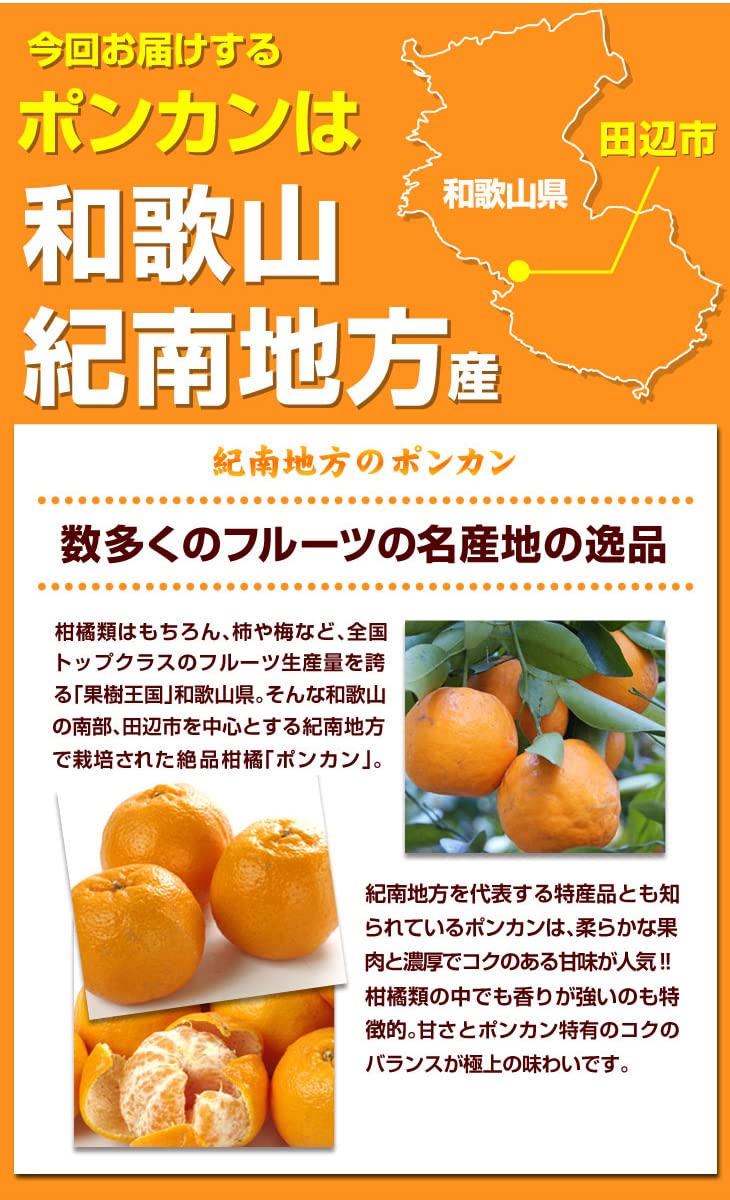 Amazon.co.jp: みかん 10kg 南紀黒潮 ポンカン 和歌山産 食品 : 食品